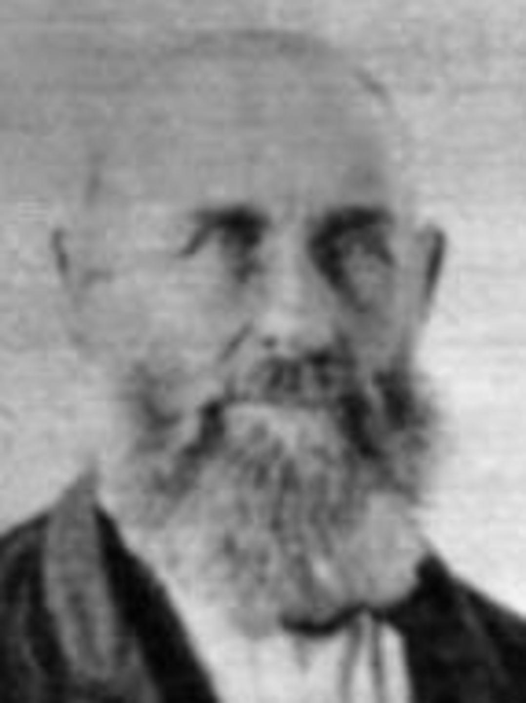 Henry Brown Wilde (1811 - 1875) Profile
